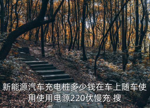 新能源汽車(chē)充電樁多少錢(qián)在車(chē)上隨車(chē)使用使用電源220伏慢充 搜