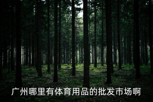 廣州哪里有體育用品的批發(fā)市場啊