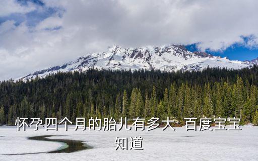 懷孕四個(gè)月的胎兒有多大  百度寶寶知道