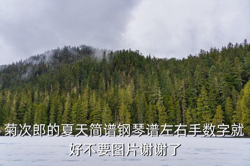 菊次郎的夏天鋼琴，菊次郎的夏天中的鋼琴曲是什么