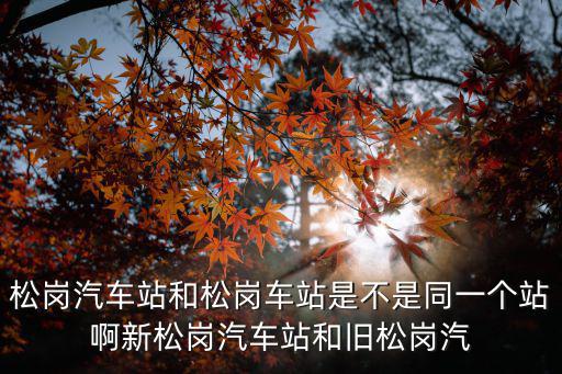 松崗汽車站和松崗車站是不是同一個站啊新松崗汽車站和舊松崗汽