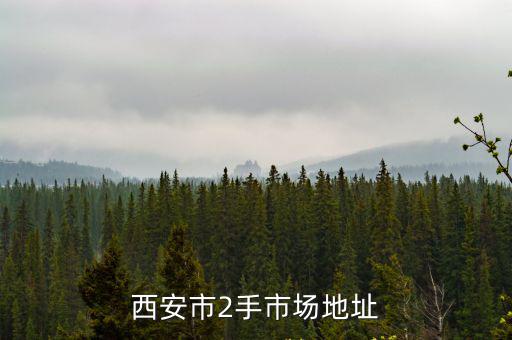二手市場，二手市場和跳蚤市場區別請具體說明
