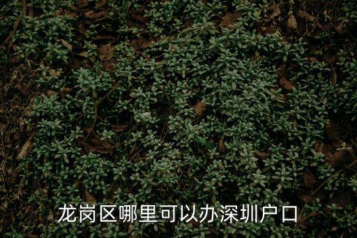 龍崗區(qū)哪里可以辦深圳戶口