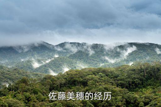 佐藤美穗的經(jīng)歷