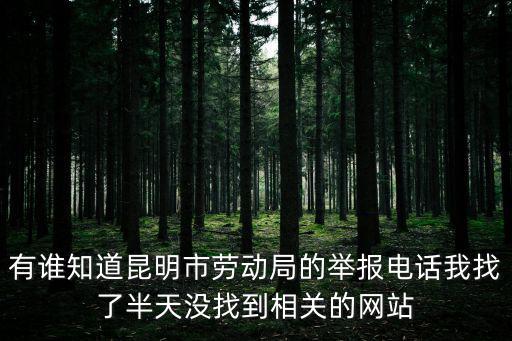 勞動局電話，有誰知道昆明市勞動局的舉報電話我找了半天沒找到相關的網站