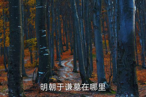 于謙墓，于謙墓現為