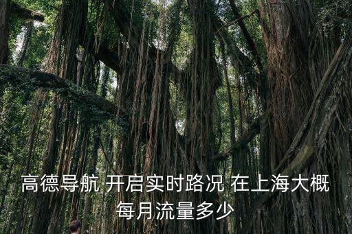 高德導航 開啟實時路況 在上海大概每月流量多少