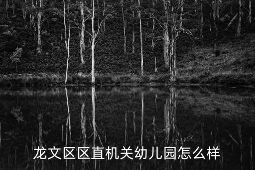 龍文區區直機關幼兒園怎么樣