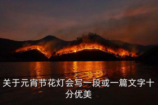 關于元宵節花燈會寫一段或一篇文字十分優美