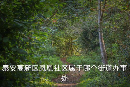 泰安高新區鳳凰社區屬于哪個街道辦事處