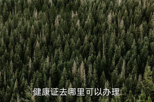 健康證去哪里可以辦理