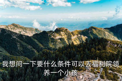 我想問一下要什么條件可以去福利院領(lǐng)養(yǎng)一個小孩