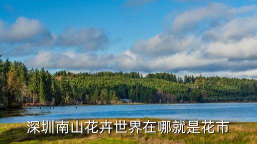 深圳南山花卉世界在哪就是花市