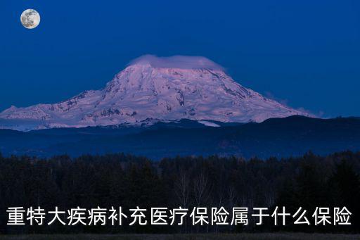重特大疾病補充醫(yī)療保險屬于什么保險
