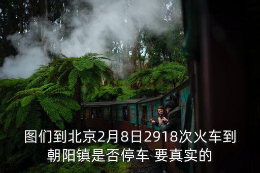 圖們到北京2月8日2918次火車到朝陽鎮(zhèn)是否停車 要真實的