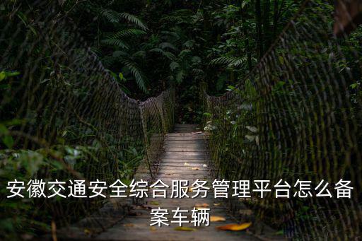 安徽交通安全綜合服務管理平臺怎么備案車輛