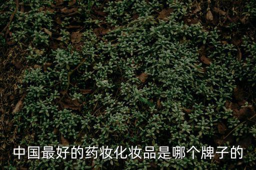 中國最好的藥妝化妝品是哪個牌子的