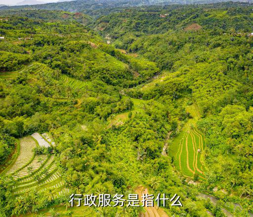 行政服務，行政服務是指什么