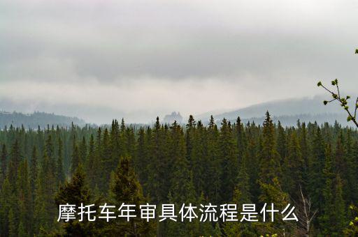 摩托車年審具體流程是什么