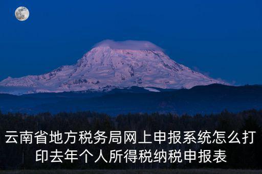 云南省地方稅務局網(wǎng)上申報系統(tǒng)怎么打印去年個人所得稅納稅申報表