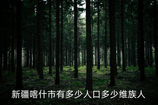 新疆喀什，喀什在新疆的什么地方