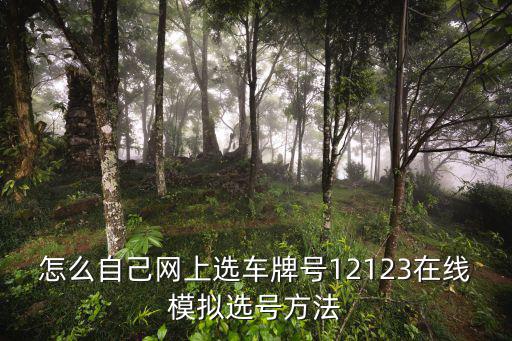 模擬選號，模擬選號可以填假信息嗎