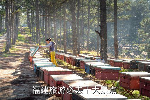 福建哪里好玩，福建有什么好玩的地方