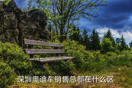深圳錦龍奧迪，深圳市深順通汽車維修有限公司在哪里