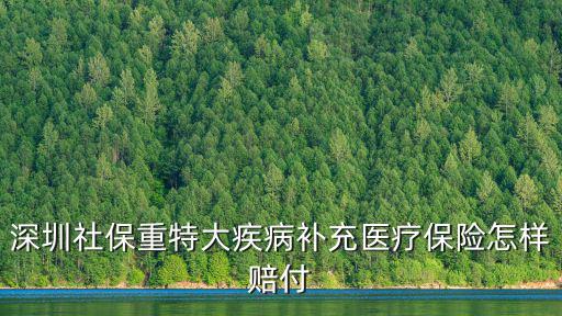 深圳社保重特大疾病補充醫(yī)療保險怎樣賠付