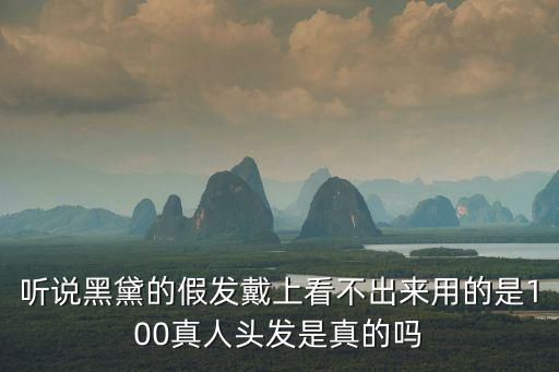 黑黛假發，黑黛補發到底好不好
