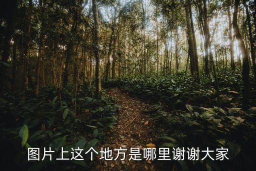 圖片上這個(gè)地方是哪里謝謝大家