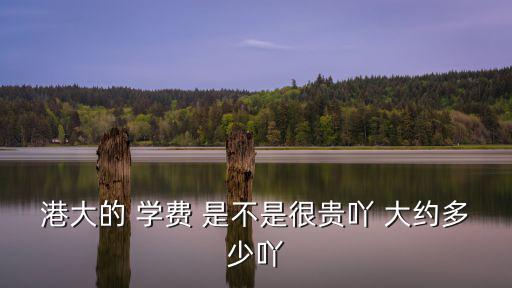 港大的 學(xué)費(fèi) 是不是很貴吖 大約多少吖