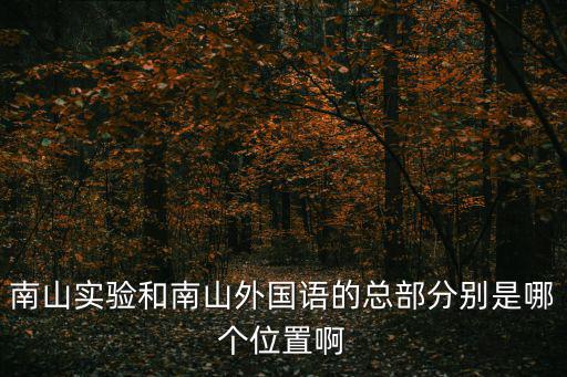 南山實(shí)驗(yàn)和南山外國(guó)語的總部分別是哪個(gè)位置啊