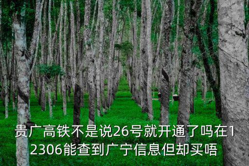 貴廣高鐵不是說26號就開通了嗎在12306能查到廣寧信息但卻買唔