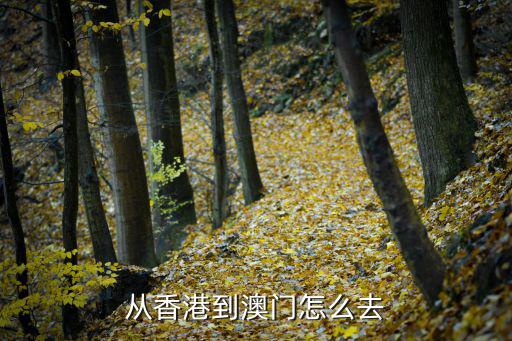 香港噢門，從香港到澳門怎么走