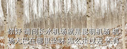 你好 請(qǐng)問(wèn)長(zhǎng)水機(jī)場(chǎng)就是昆明機(jī)場(chǎng) 機(jī)場(chǎng)大巴在哪里坐呀 怎么走過(guò)去 還有