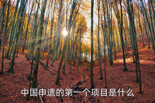 中國(guó)申遺，中國(guó)申遺成功項(xiàng)目多少個(gè)
