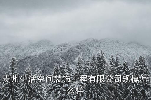 貴州生活空間裝飾工程有限公司規(guī)模怎么樣