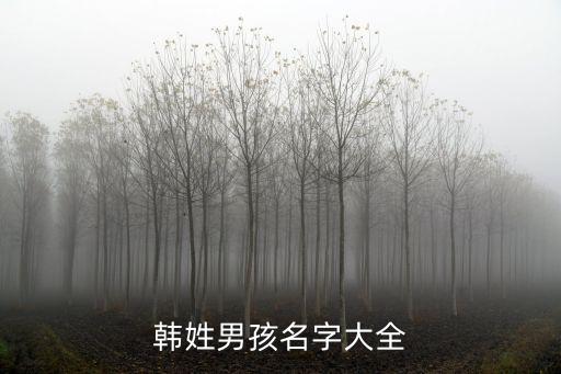 韓姓男孩名字大全