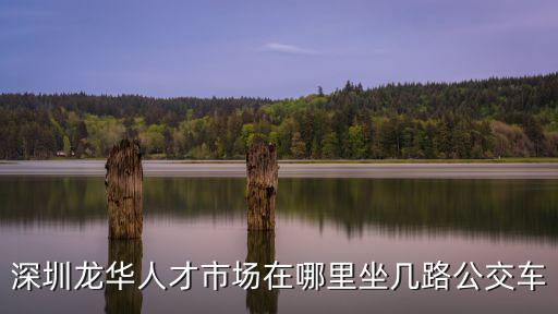 深圳龍華人才市場在哪里坐幾路公交車