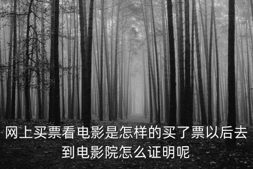 網(wǎng)上買票看電影是怎樣的買了票以后去到電影院怎么證明呢