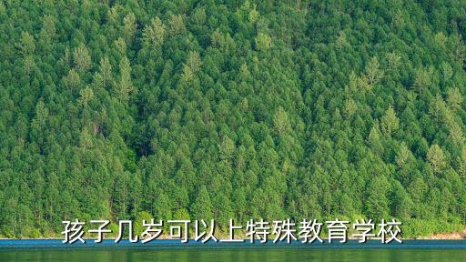 特殊兒童學(xué)校，什么是特殊教育學(xué)校