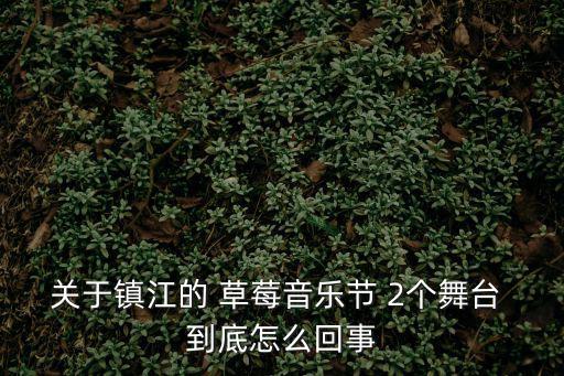 鎮江音樂節，關于鎮江的 草莓音樂節 2個舞臺 到底怎么回事