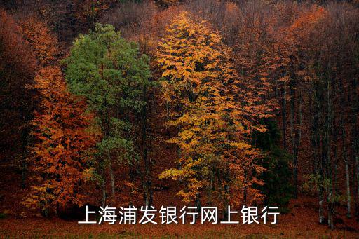 上海浦發銀行網上銀行