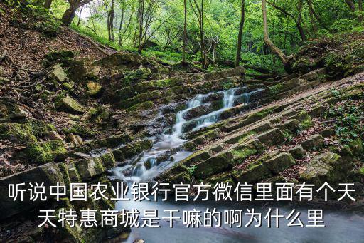 聽(tīng)說(shuō)中國(guó)農(nóng)業(yè)銀行官方微信里面有個(gè)天天特惠商城是干嘛的啊為什么里