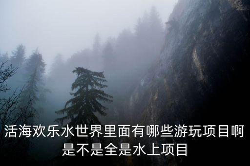 活海歡樂水世界里面有哪些游玩項目啊是不是全是水上項目