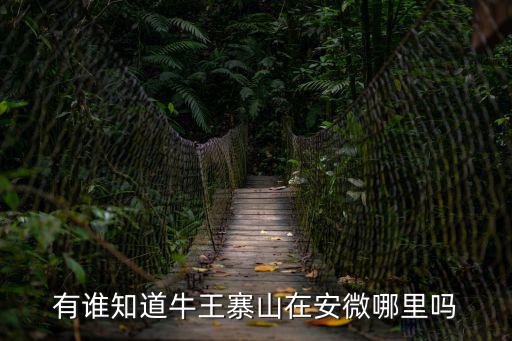 有誰知道牛王寨山在安微哪里嗎