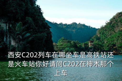 c202，動車c202西安那個站上車