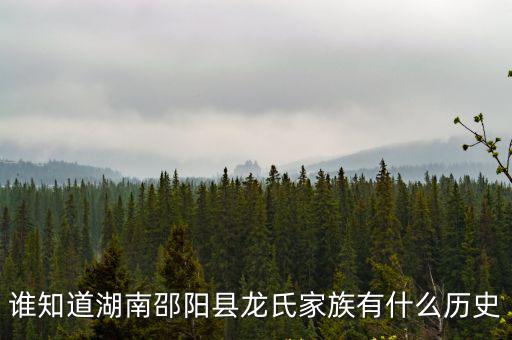 誰知道湖南邵陽縣龍氏家族有什么歷史