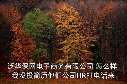 泛華保網(wǎng)電子商務(wù)有限公司 怎么樣 我沒投簡歷他們公司HR打電話來